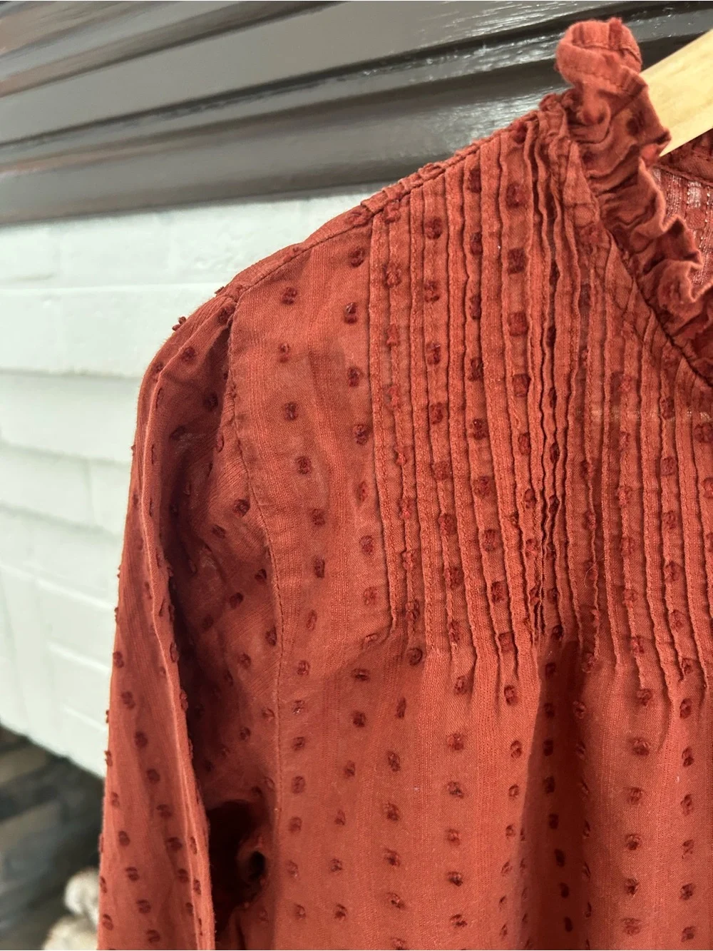 J. Crew Point Sur Swiss Dot Ruffle Collar Rust Long-Sleeve Top Size 10